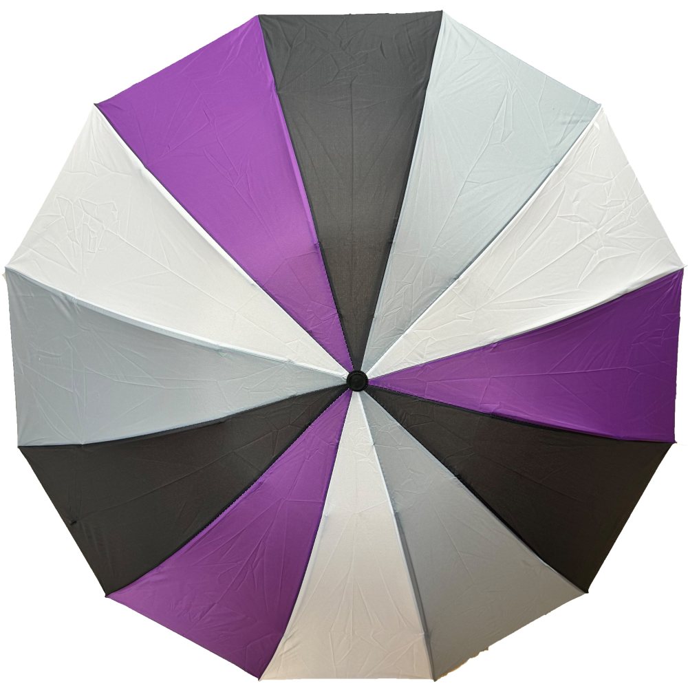 Zac's Alter Ego - Asexual Colour Foldable with Case Regenschirm - Mehrfarben